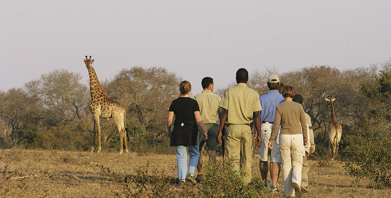 Informative bush walks